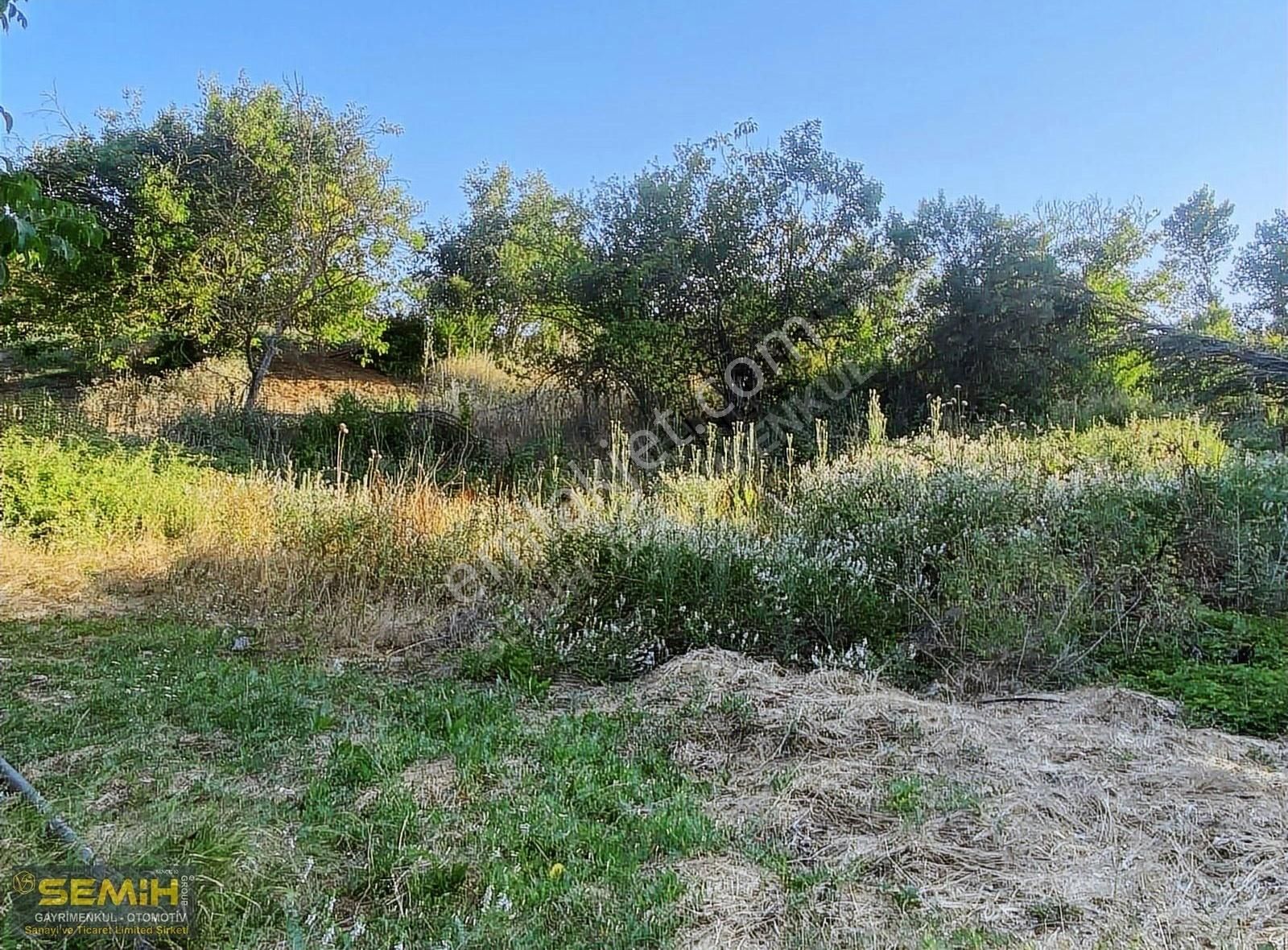 Semih'den Eğercede Köye 500 Metre Mesafede Tava Gibi Hobi Bah - Görsel 15