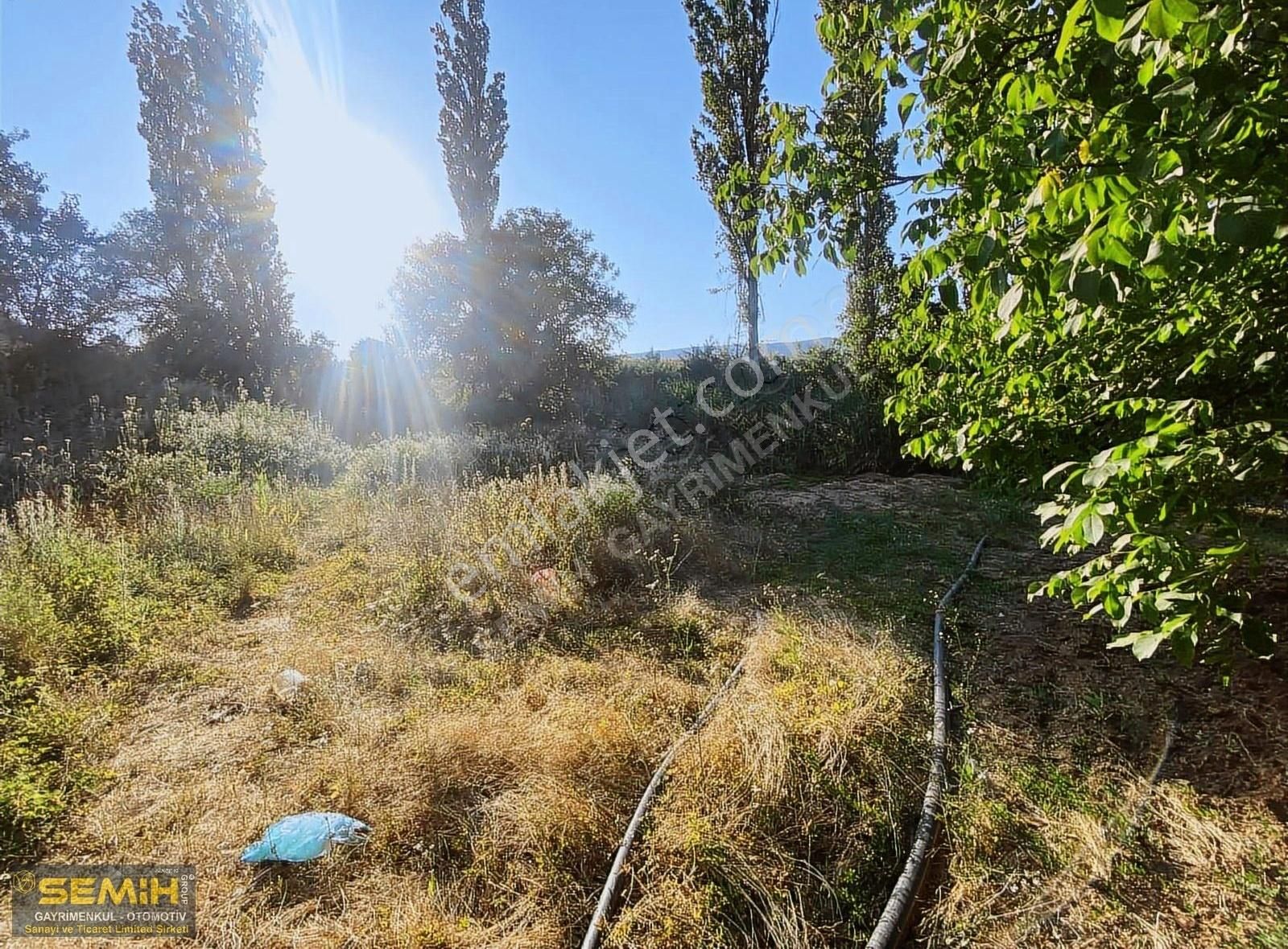 Semih'den Eğercede Köye 500 Metre Mesafede Tava Gibi Hobi Bah - Görsel 23