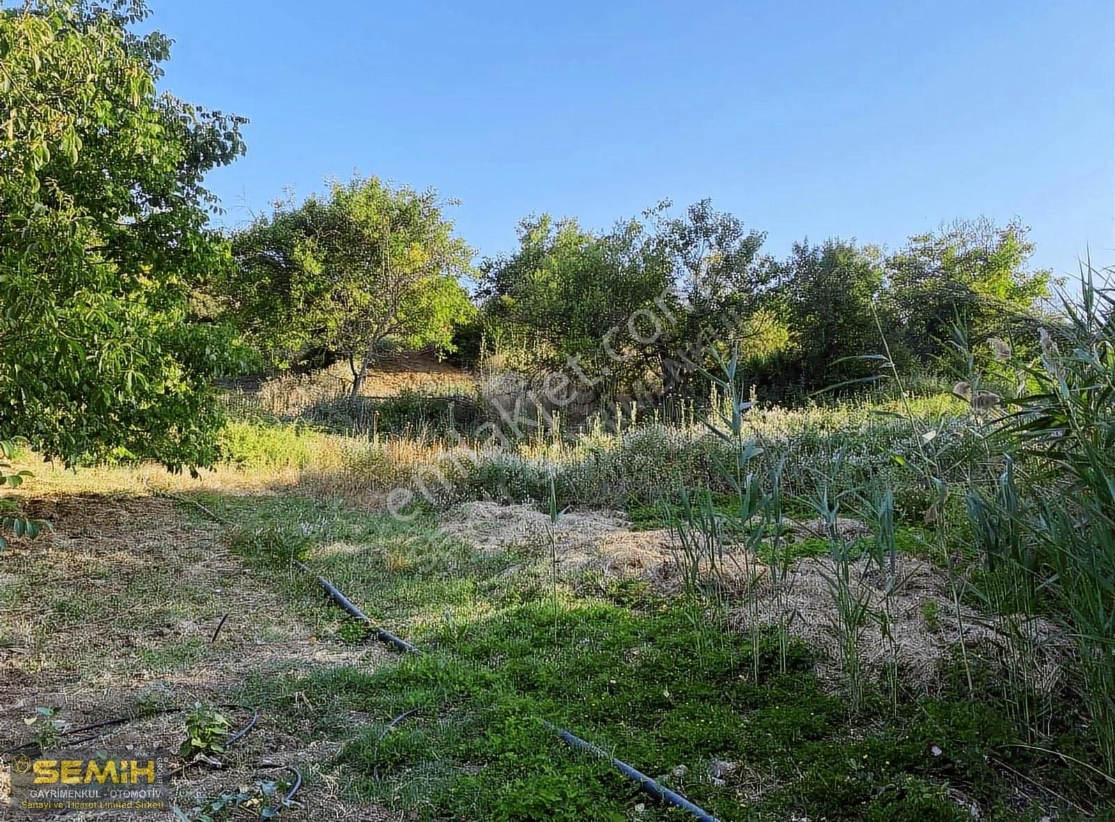 Semih'den Eğercede Köye 500 Metre Mesafede Tava Gibi Hobi Bah - Görsel 9