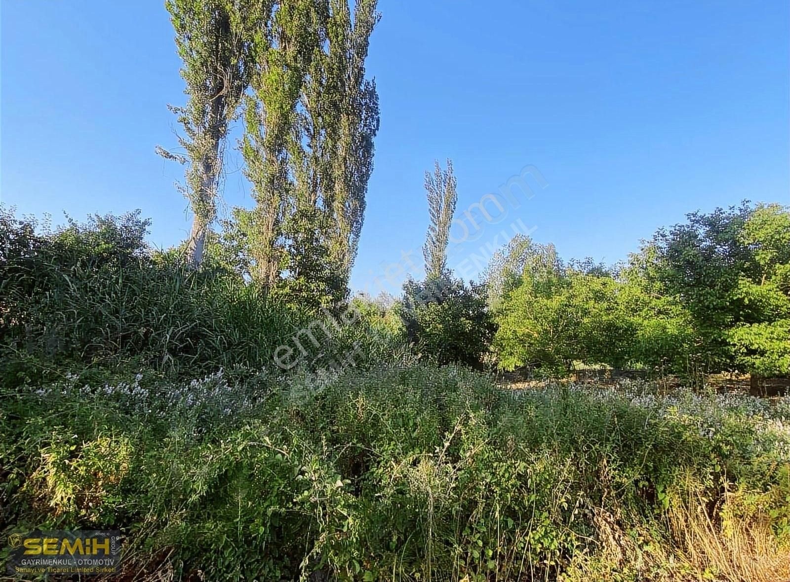 Semih'den Eğercede Köye 500 Metre Mesafede Tava Gibi Hobi Bah - Görsel 13