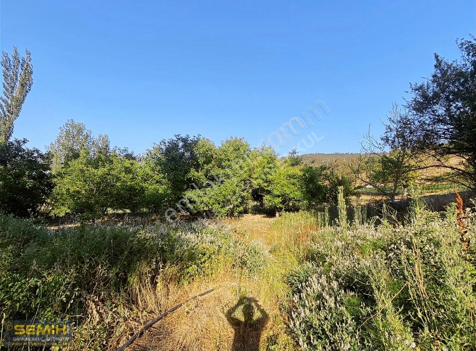 Semih'den Eğercede Köye 500 Metre Mesafede Tava Gibi Hobi Bah - Görsel 2