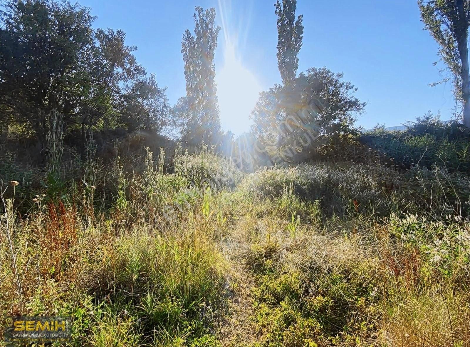 Semih'den Eğercede Köye 500 Metre Mesafede Tava Gibi Hobi Bah - Görsel 6