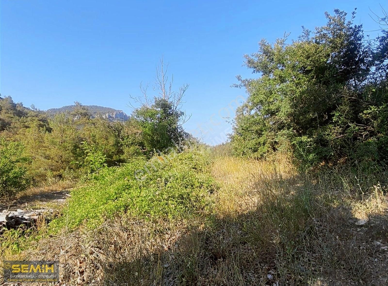 Semih'den Eğercede Yola Cephe Doğa İle İç İçe Müthiş Arazi - Görsel 4