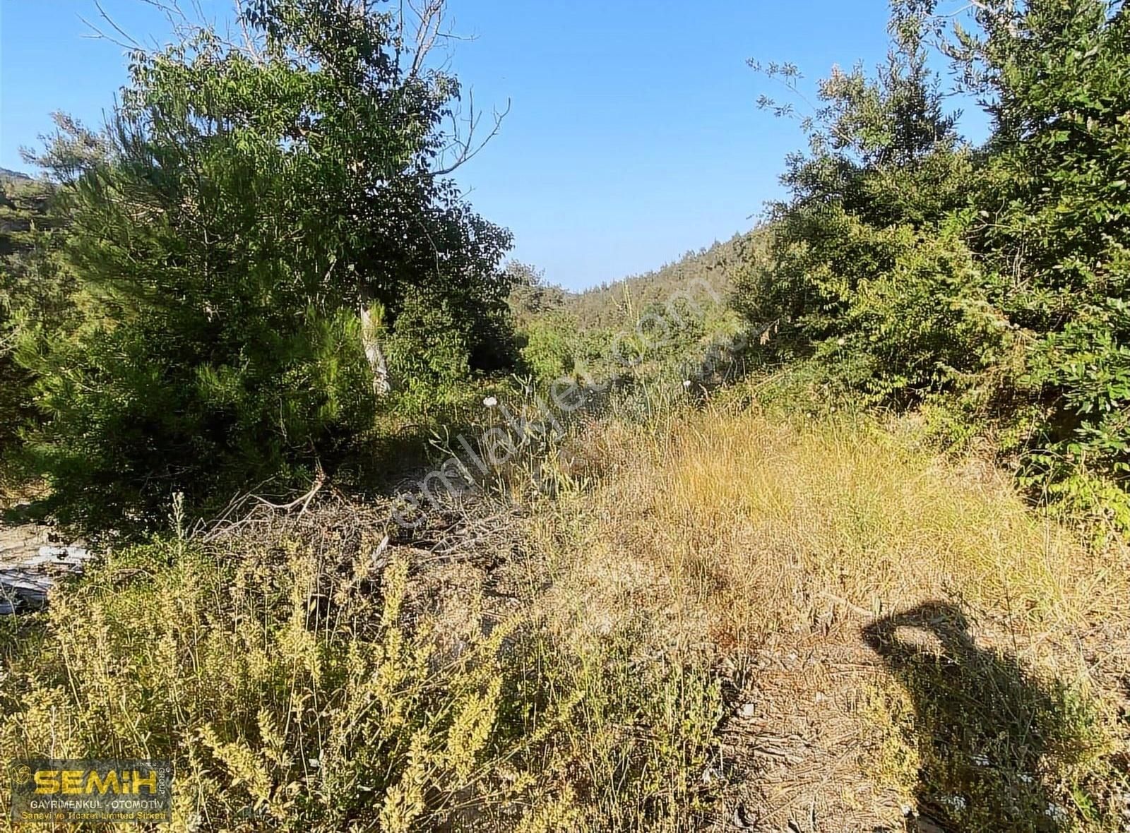 Semih'den Eğercede Yola Cephe Doğa İle İç İçe Müthiş Arazi - Görsel 16