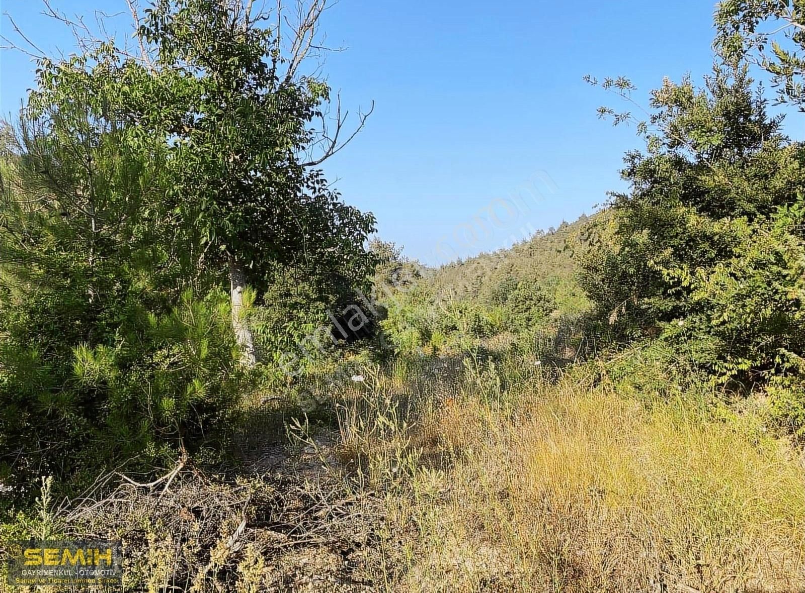 Semih'den Eğercede Yola Cephe Doğa İle İç İçe Müthiş Arazi - Görsel 13