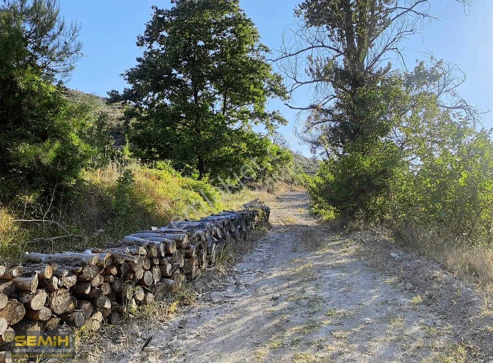 Semih'den Eğercede Yola Cephe Doğa İle İç İçe Müthiş Arazi - Görsel 20