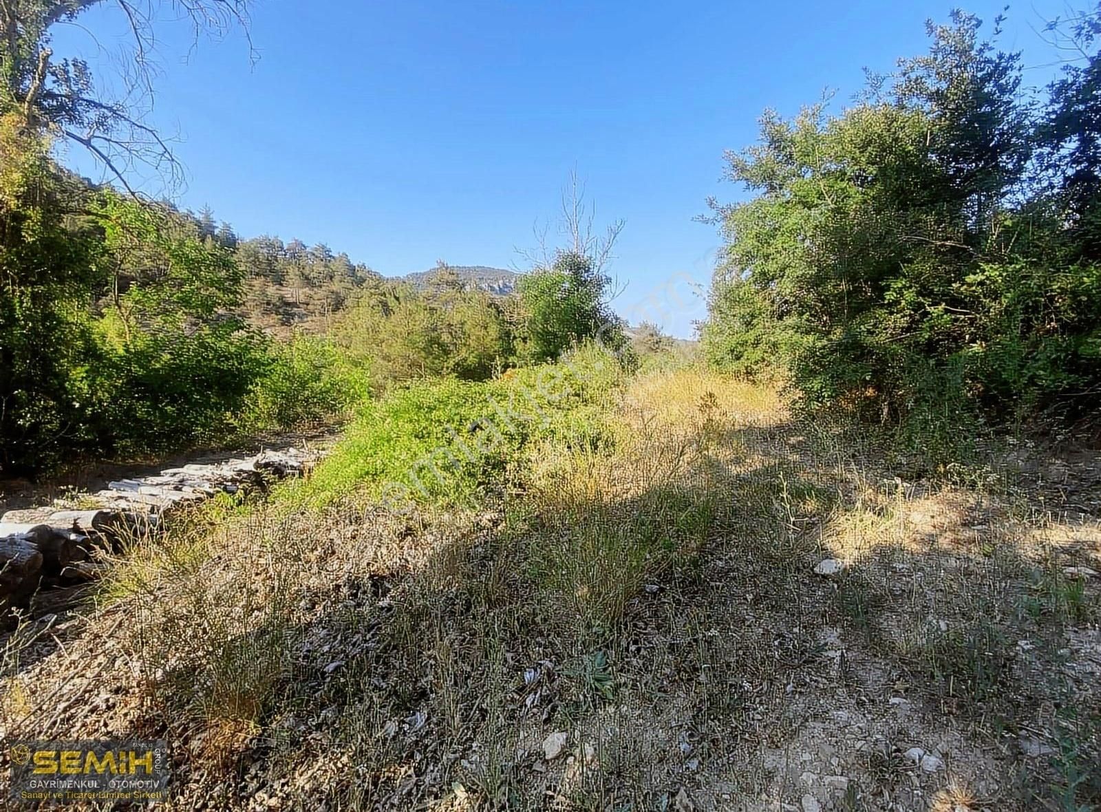 Semih'den Eğercede Yola Cephe Doğa İle İç İçe Müthiş Arazi - Görsel 18