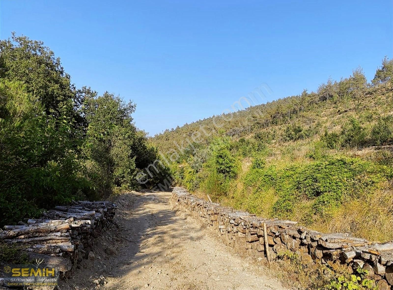 Semih'den Eğercede Yola Cephe Doğa İle İç İçe Müthiş Arazi - Görsel 9