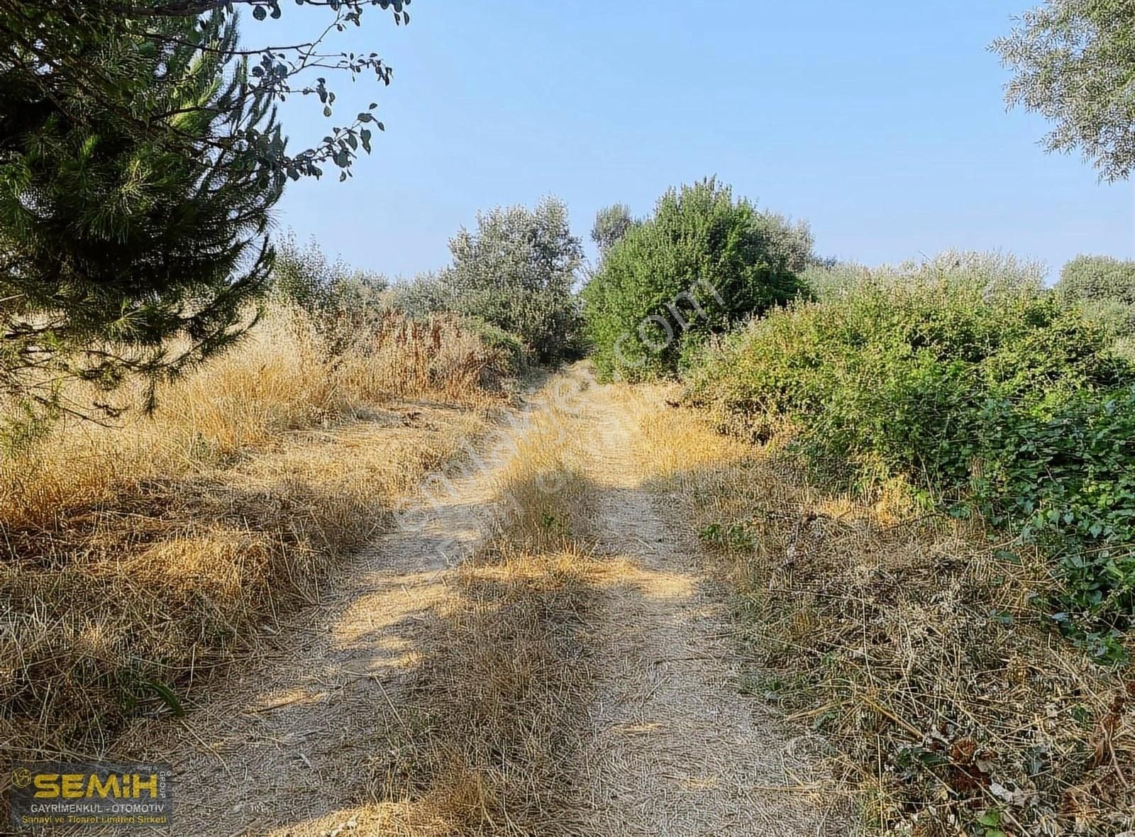 Semih'den Ebeköyde Yol_su Mevcut Bölgenin En Uygunu Kaçmaz - Görsel 15