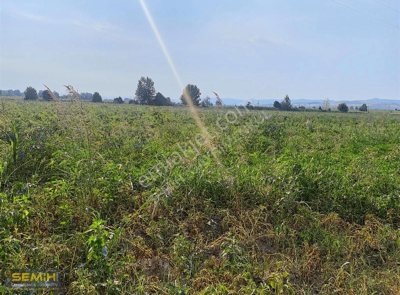 Semih'den Ebeköyde Yol_su Mevcut Bölgenin En Uygunu Kaçmaz - Görsel 3