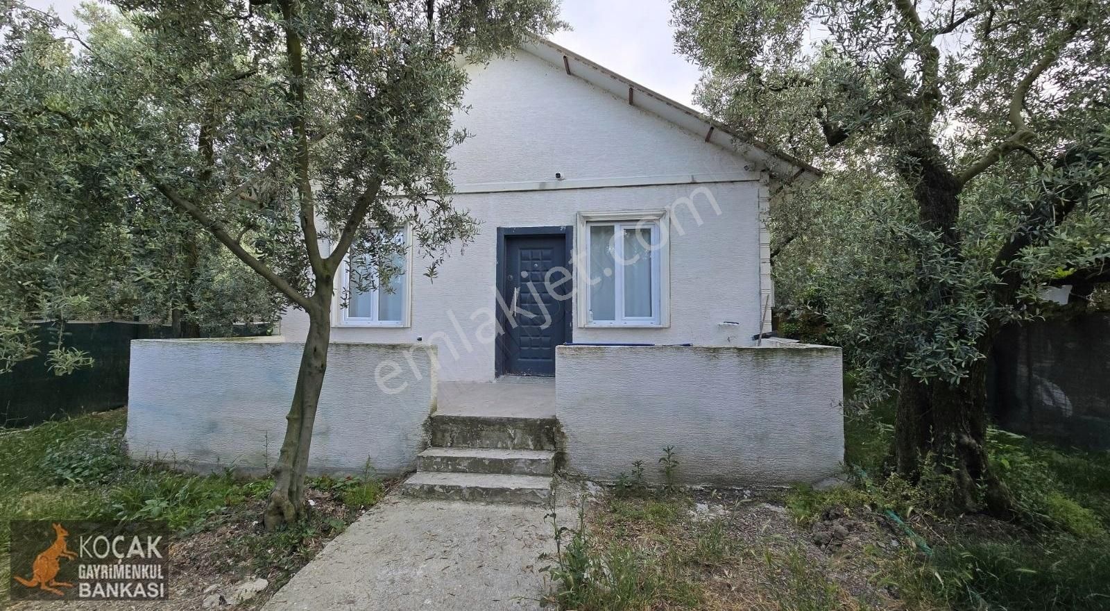 Müşkülede Asfalt Cephe 516 M2 Arsalı Satılık Bahçeli Müstakil Ev - Görsel 3