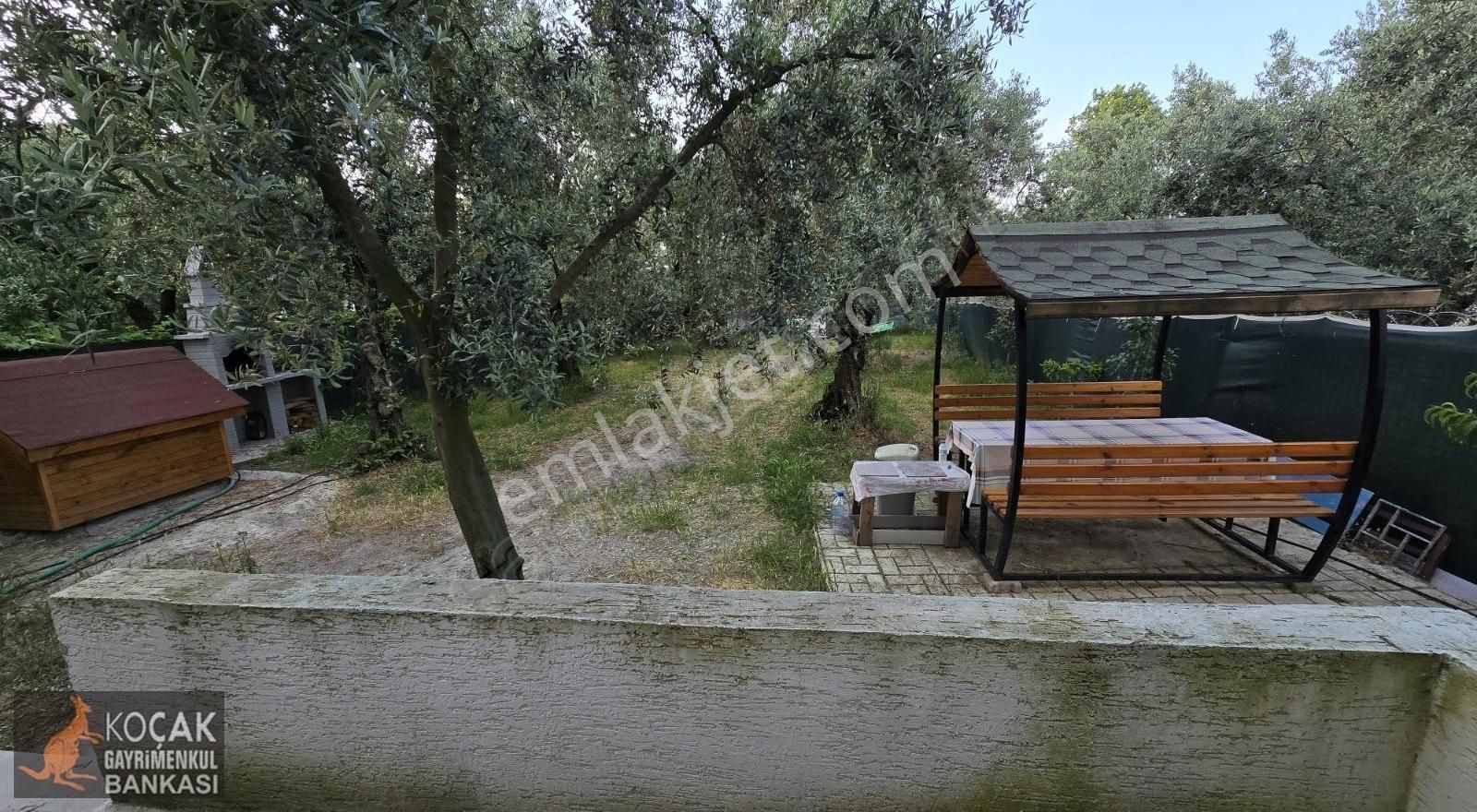 Müşkülede Asfalt Cephe 516 M2 Arsalı Satılık Bahçeli Müstakil Ev - Görsel 19