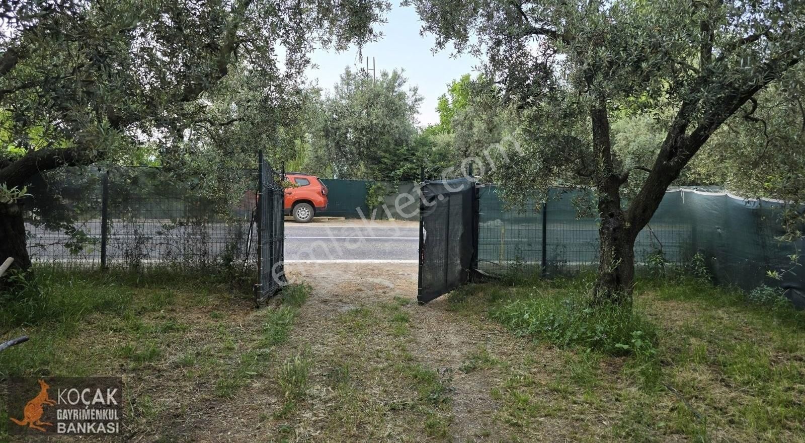 Müşkülede Asfalt Cephe 516 M2 Arsalı Satılık Bahçeli Müstakil Ev - Görsel 17