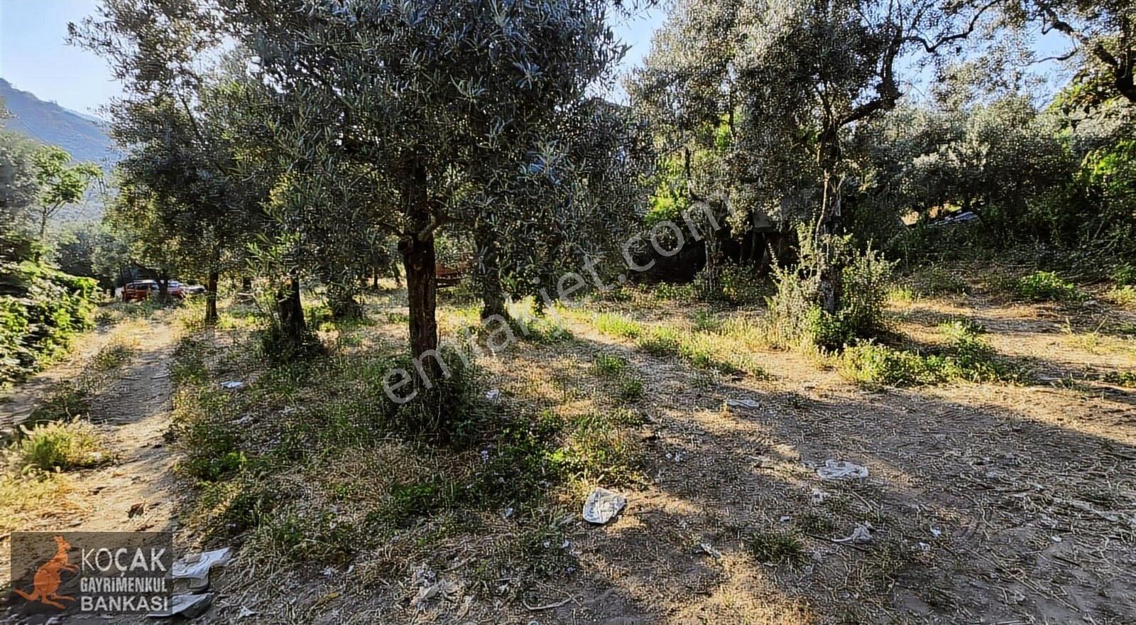 Müşküle Mahallesinde Köy İçinde 1011 M2 İmarlı Satılık Arsa - Görsel 18