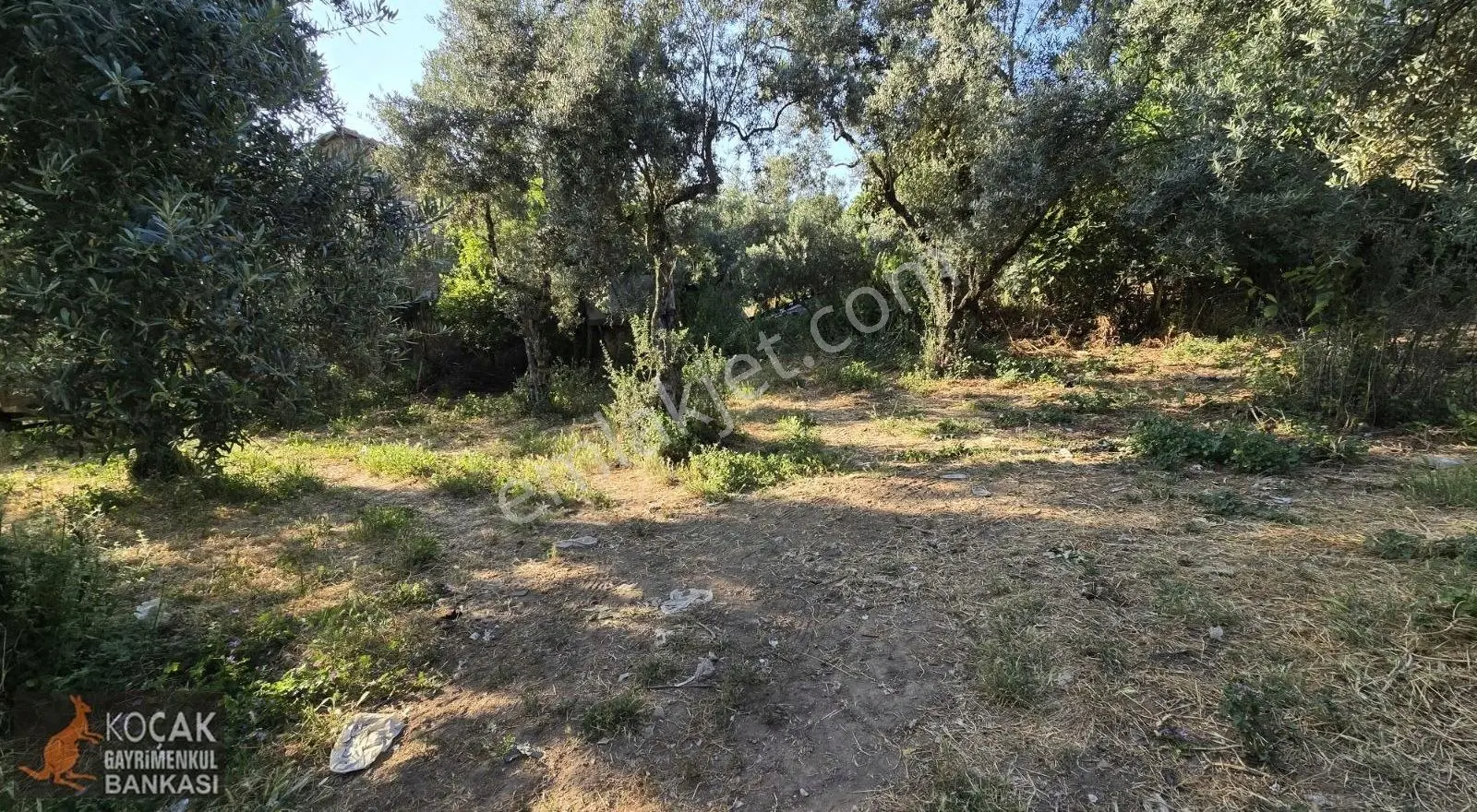 Müşküle Mahallesinde Köy İçinde 1011 M2 İmarlı Satılık Arsa - Görsel 4