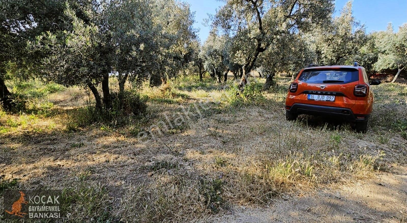 Müşküle Mahallesinde Köy İçinde 1011 M2 İmarlı Satılık Arsa - Görsel 31