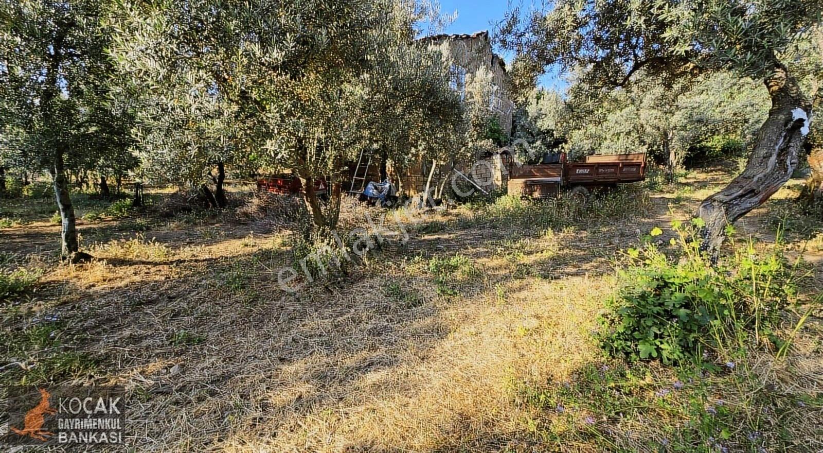 Müşküle Mahallesinde Köy İçinde 1011 M2 İmarlı Satılık Arsa - Görsel 8