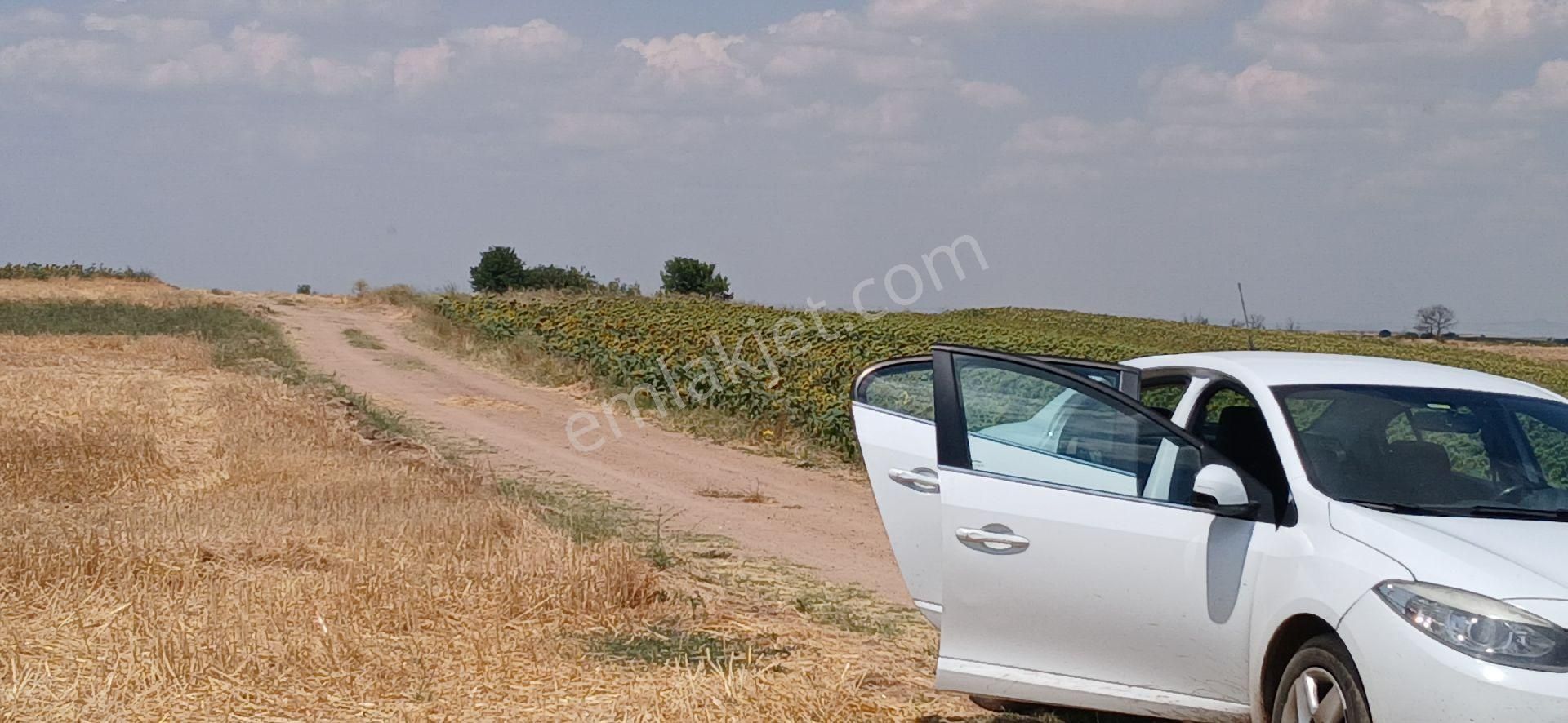 Edirne Merkez Orhaniye Köyünde 8500m2 Yolu Olan Tarlamız Satılık