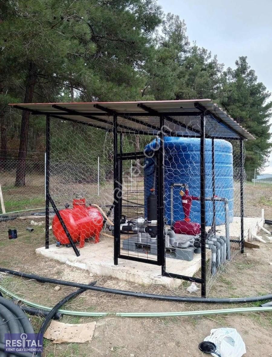 Orhaneli Esentepede 550 Adet Ceviz Fidanlı Tek Tapu Bahçe! - Görsel 7