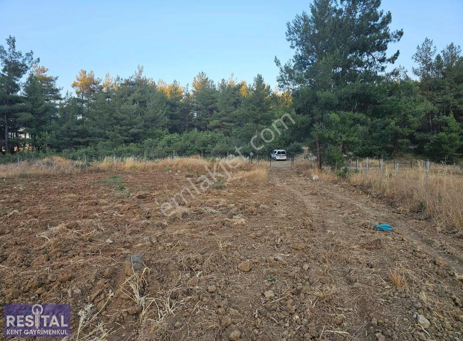 Orhaneli Esentepede 550 Adet Ceviz Fidanlı Tek Tapu Bahçe! - Görsel 13