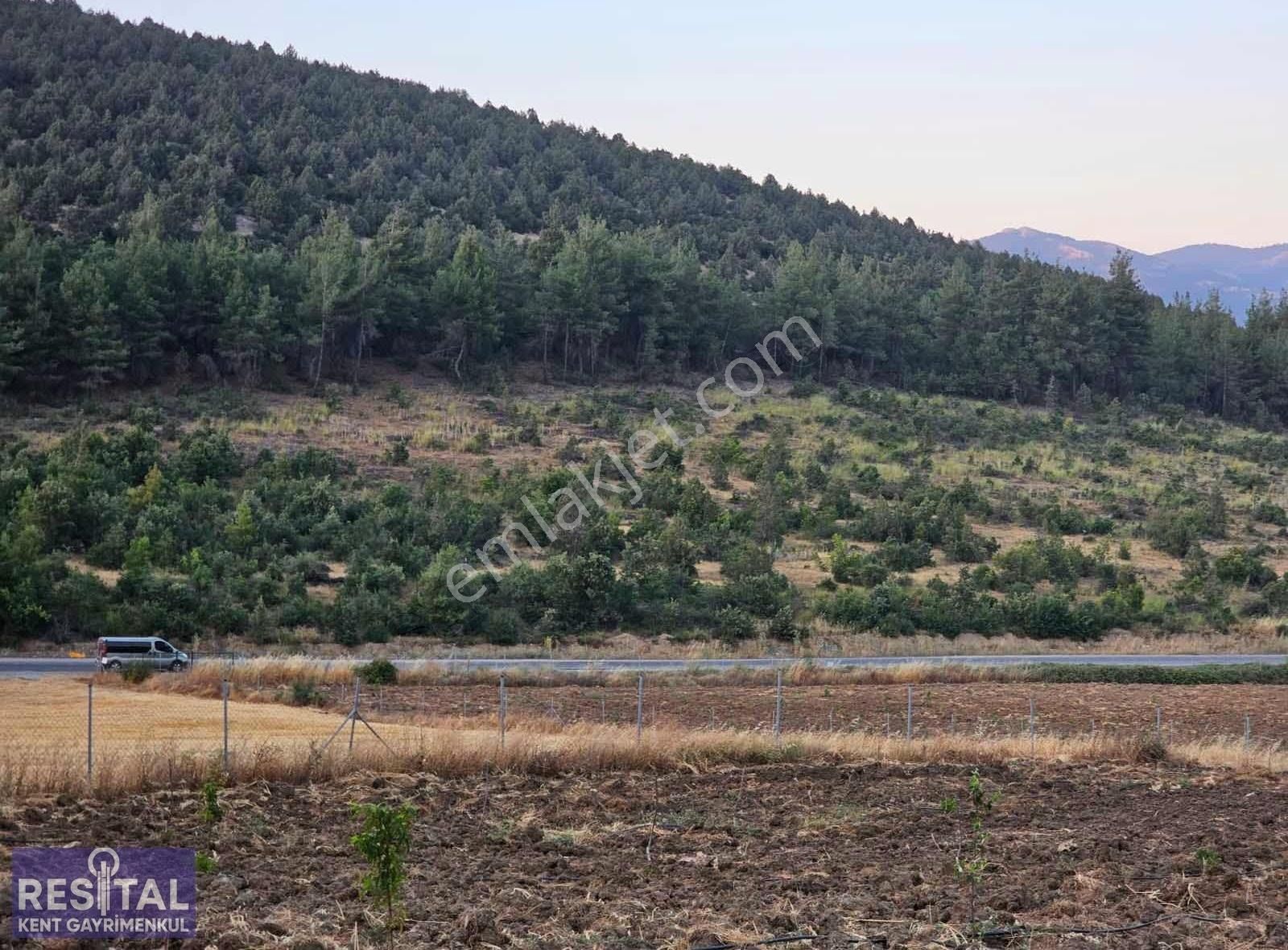 Orhaneli Esentepede 550 Adet Ceviz Fidanlı Tek Tapu Bahçe! - Görsel 2