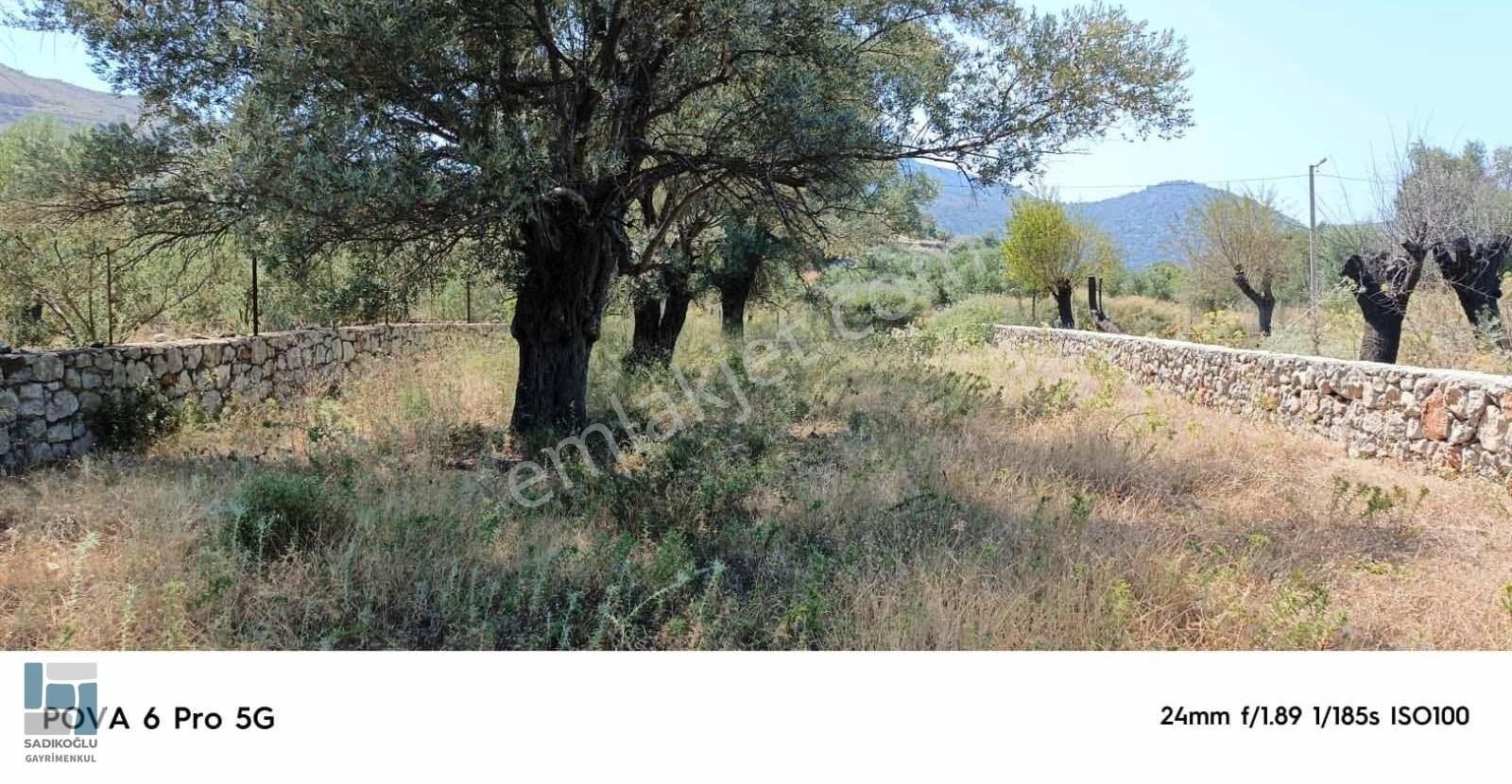 Marmaris Selimiyede 604 M² Bahçe Duvarlı Yatırımlık Tarla