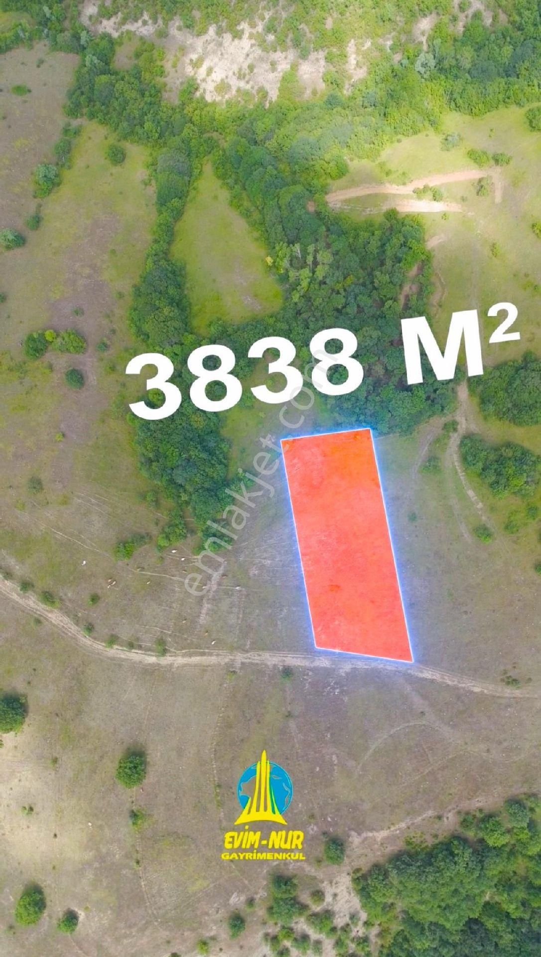Evim-nur'dan Kavak Tekke Mh 3.838m2 Yatırımlık Kaçırılmayacak Fırsat - Görsel 8