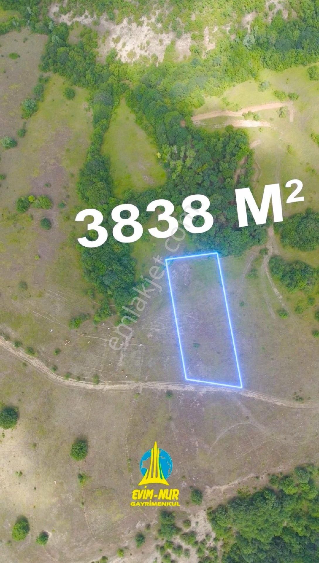 Evim-nur'dan Kavak Tekke Mh 3.838m2 Yatırımlık Kaçırılmayacak Fırsat - Görsel 9