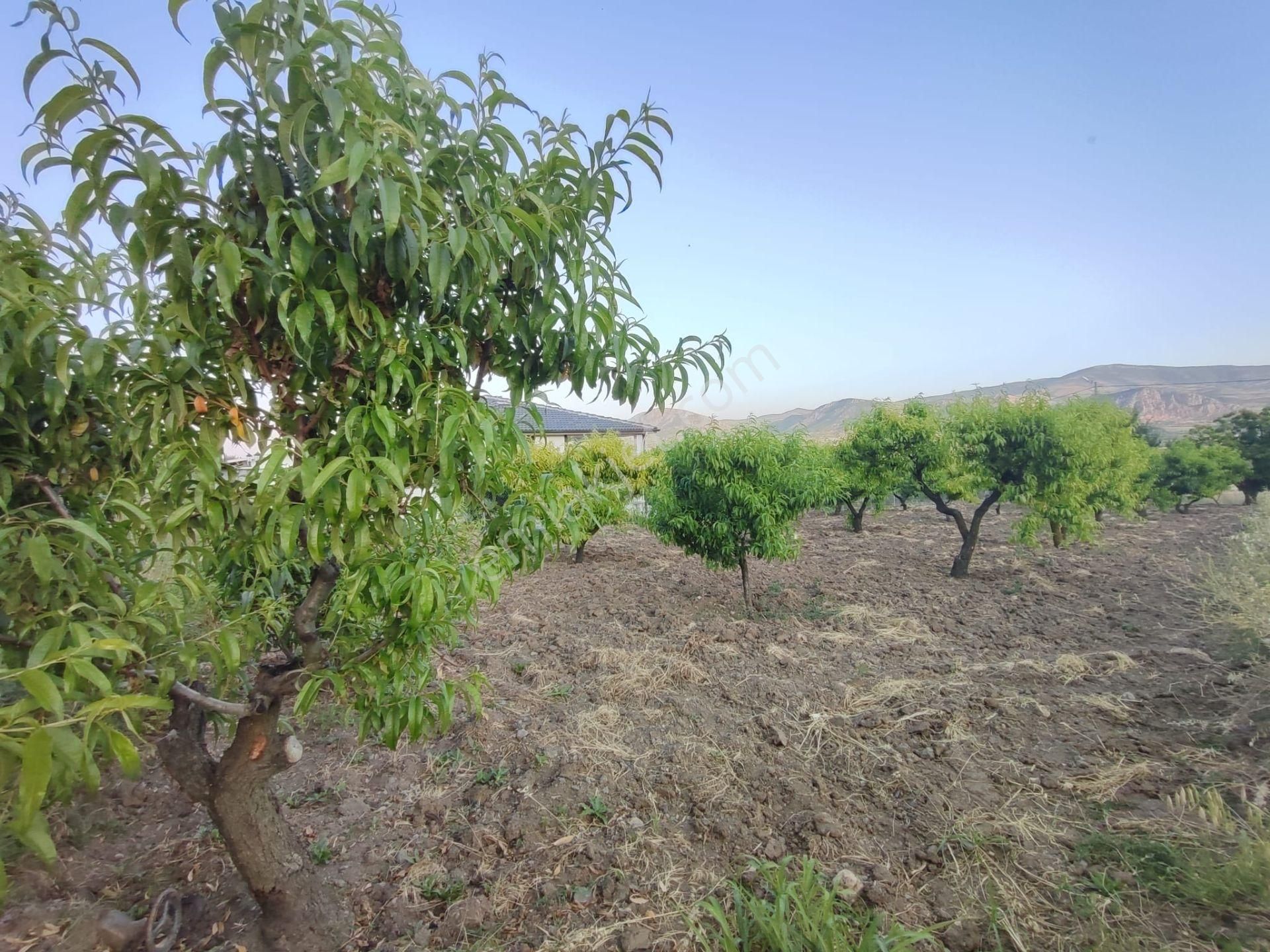 Emirseyit Bahçelievler'de Kanal Yanında Su, Elektrik Yanında Satılık Tarla - Görsel 10