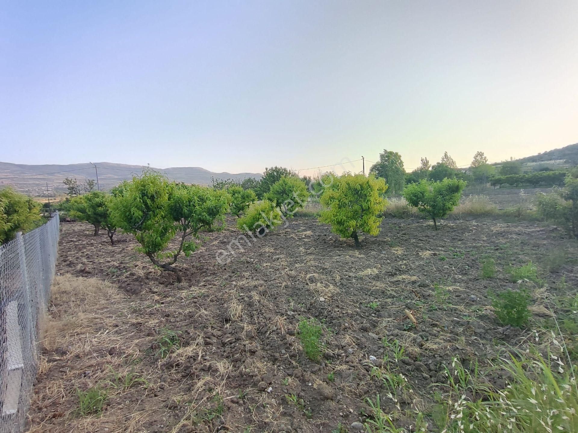 Emirseyit Bahçelievler'de Kanal Yanında Su, Elektrik Yanında Satılık Tarla - Görsel 11