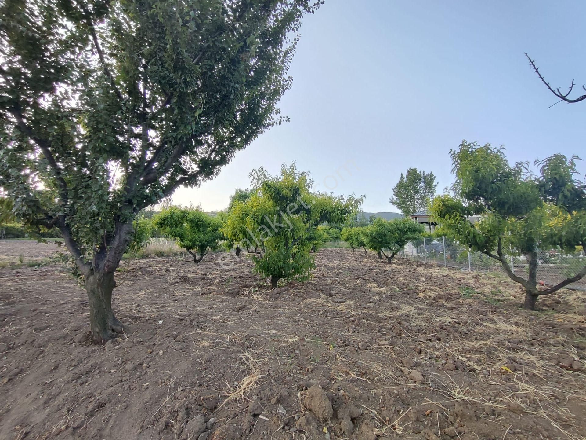 Emirseyit Bahçelievler'de Kanal Yanında Su, Elektrik Yanında Satılık Tarla - Görsel 14