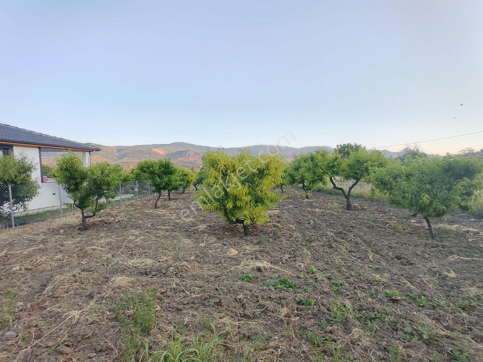 Emirseyit Bahçelievler'de Kanal Yanında Su, Elektrik Yanında Satılık Tarla - Görsel 8