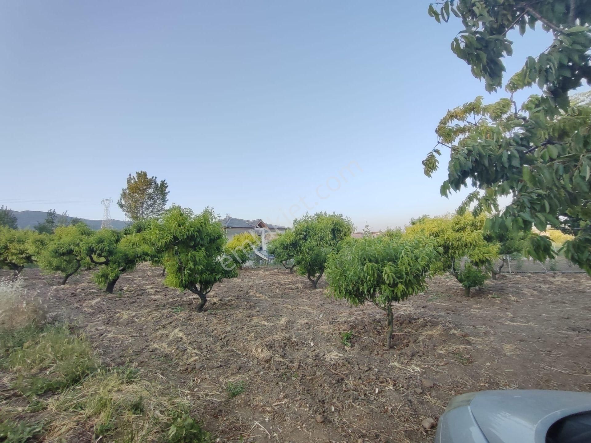 Emirseyit Bahçelievler'de Kanal Yanında Su, Elektrik Yanında Satılık Tarla - Görsel 9