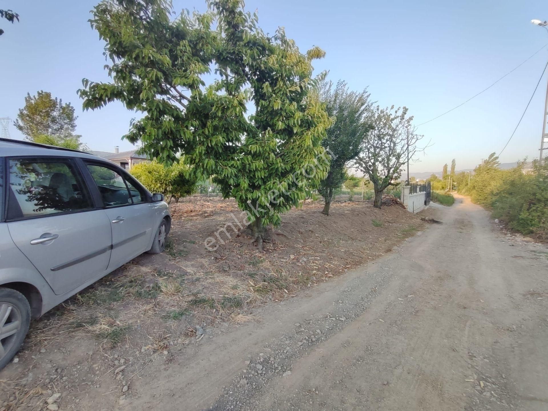 Emirseyit Bahçelievler'de Kanal Yanında Su, Elektrik Yanında Satılık Tarla - Görsel 2