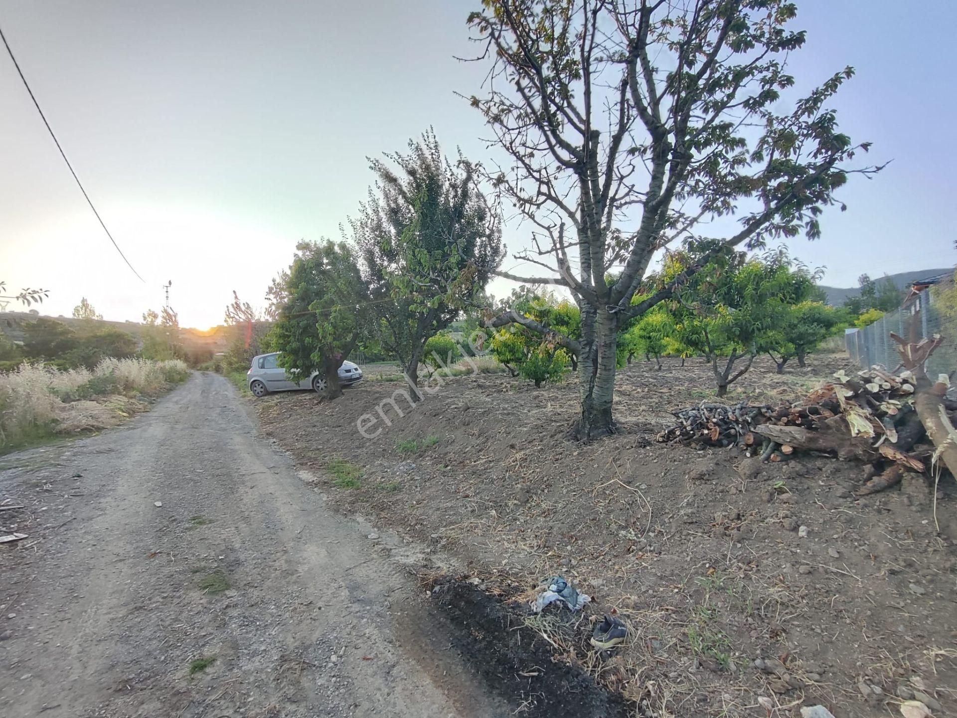 Emirseyit Bahçelievler'de Kanal Yanında Su, Elektrik Yanında Satılık Tarla - Görsel 12