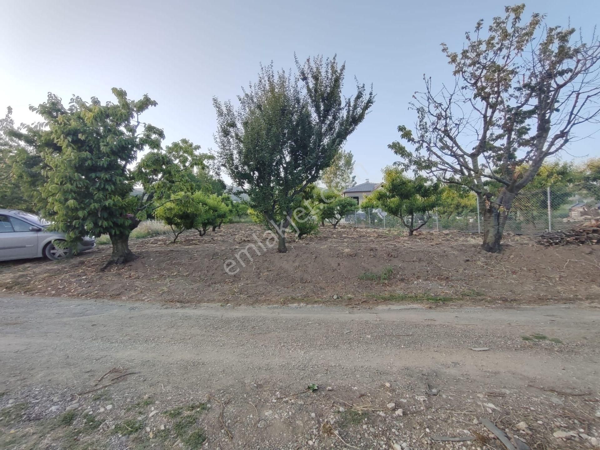 Emirseyit Bahçelievler'de Kanal Yanında Su, Elektrik Yanında Satılık Tarla - Görsel 6