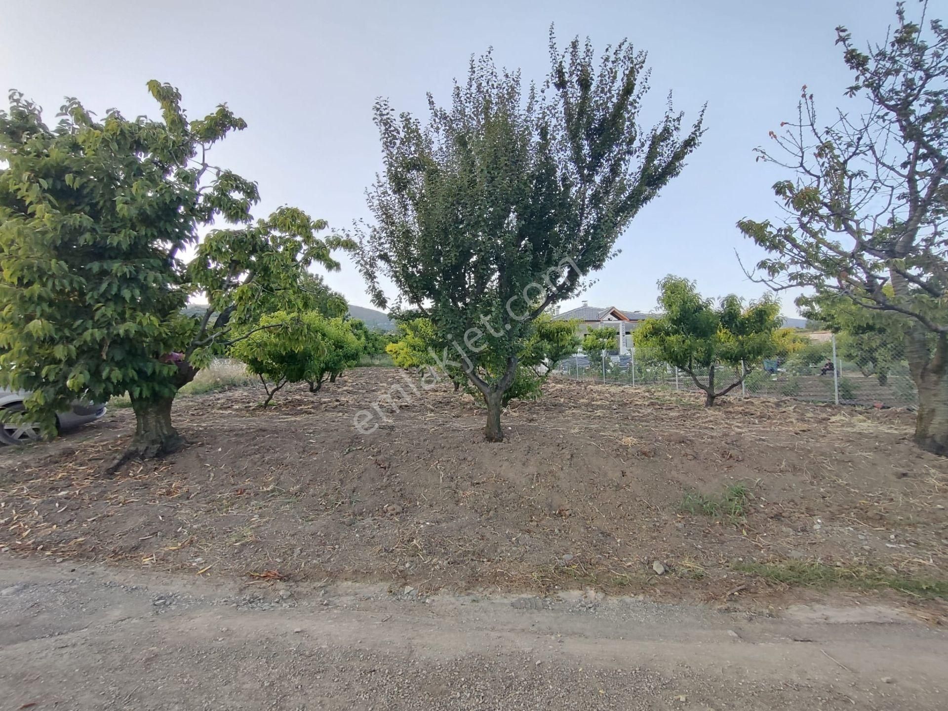 Emirseyit Bahçelievler'de Kanal Yanında Su, Elektrik Yanında Satılık Tarla - Görsel 7