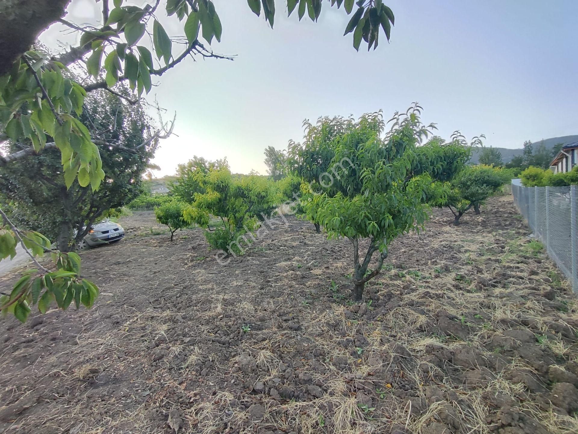 Emirseyit Bahçelievler'de Kanal Yanında Su, Elektrik Yanında Satılık Tarla - Görsel 13