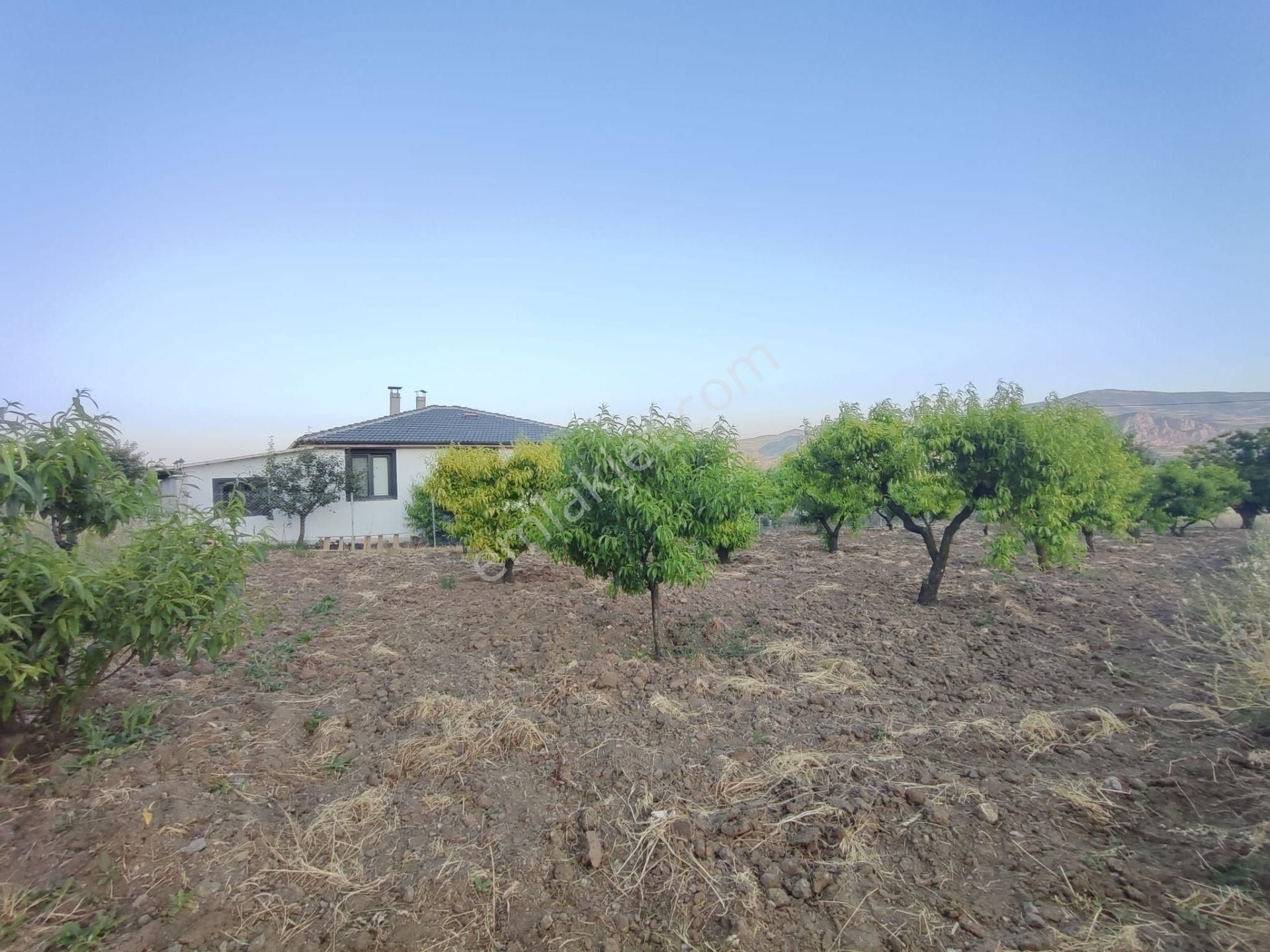 Emirseyit Bahçelievler'de Kanal Yanında Su, Elektrik Yanında Satılık Tarla - Görsel 4