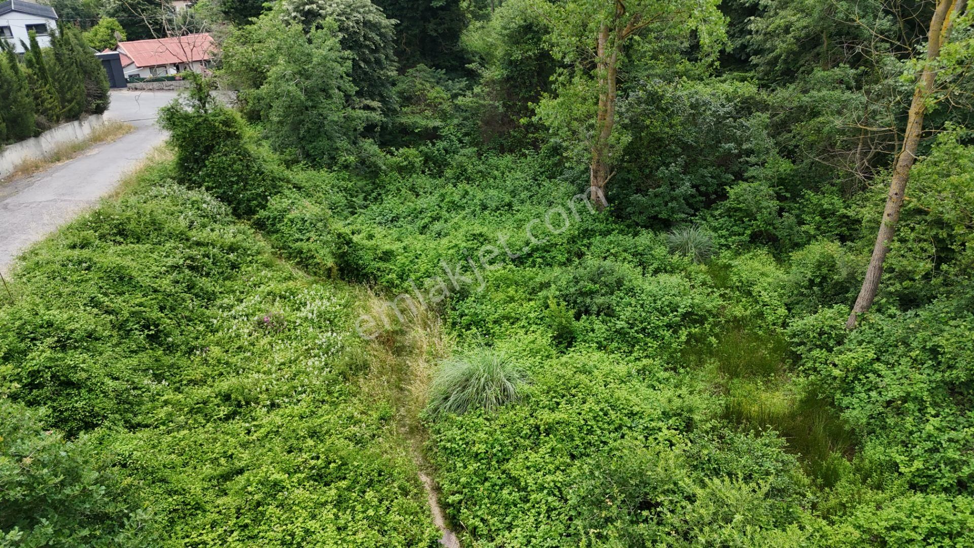 Beykoz Fatih Mahallesi’nde Satılık Arsa - Görsel 12