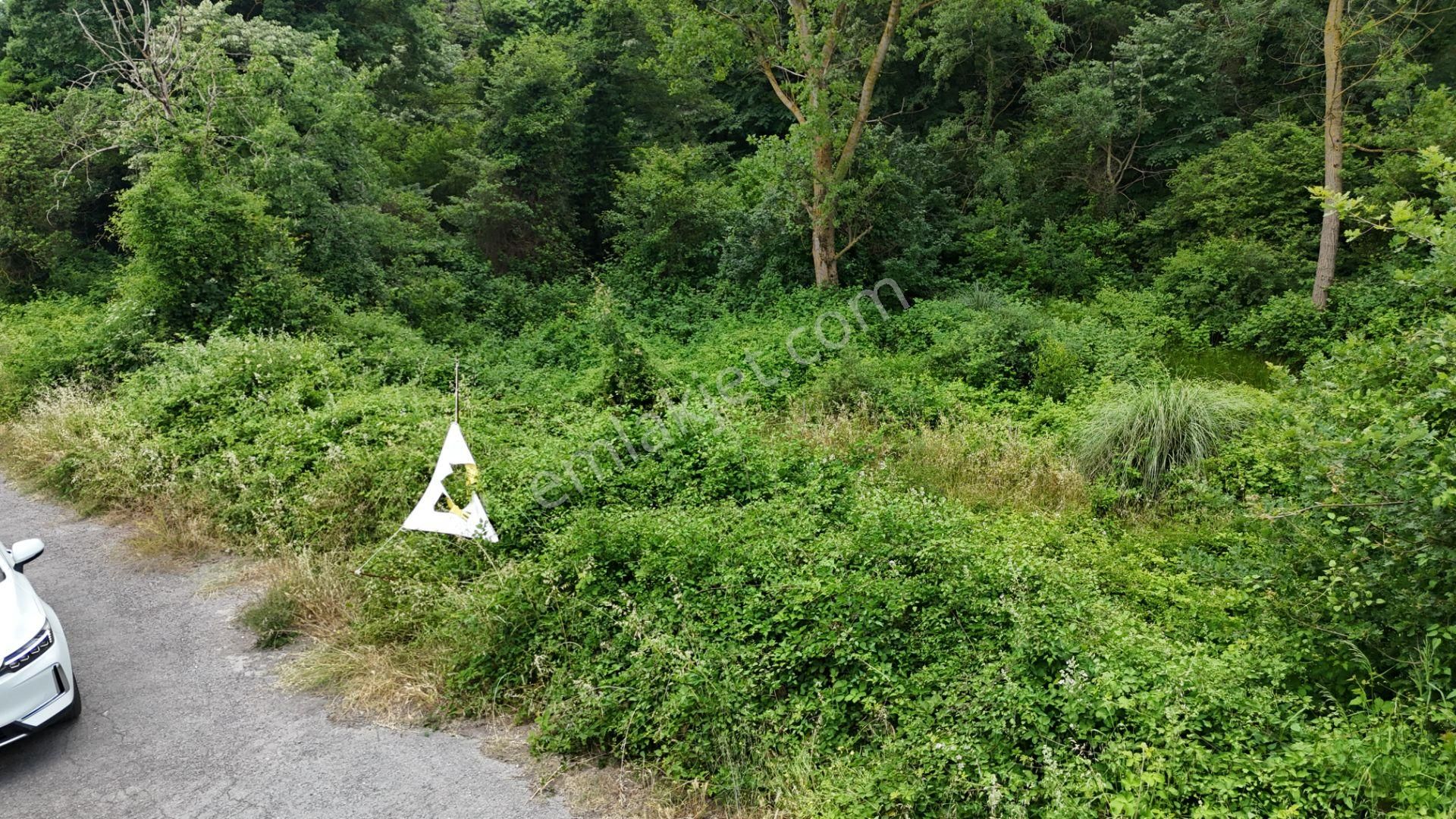 Beykoz Fatih Mahallesi’nde Satılık Arsa - Görsel 14