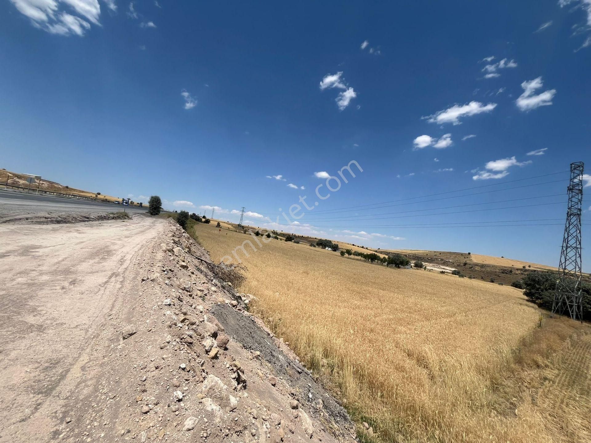 Talas Ardıç Mh Malatya Yoluna Cephe Satılık Tarla 280-1