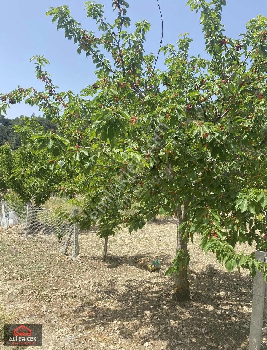 Yakaköy Merkeze Yakın Bölgesinin En Manzaralı Bahçesi - Görsel 6