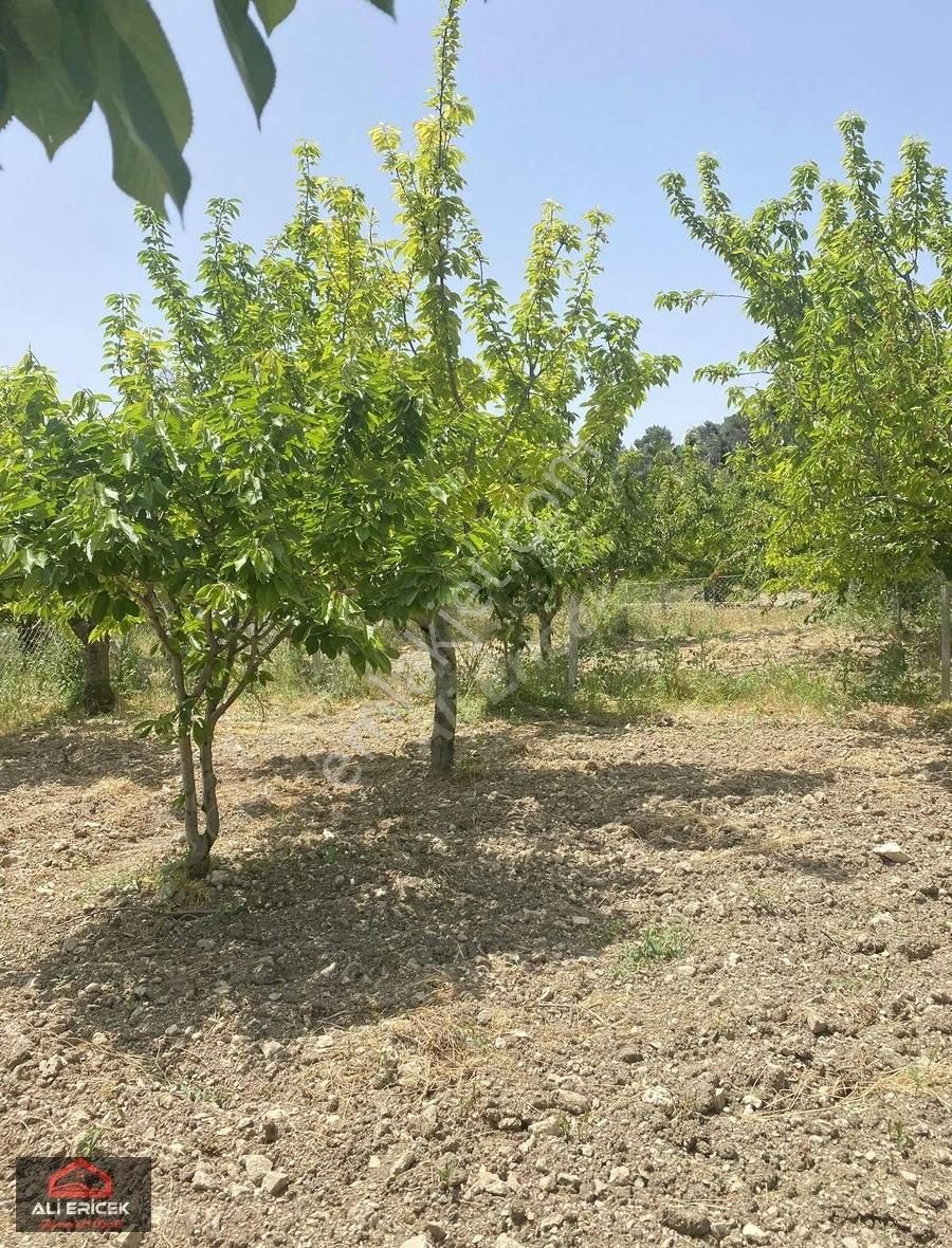 Yakaköy Merkeze Yakın Bölgesinin En Manzaralı Bahçesi - Görsel 12
