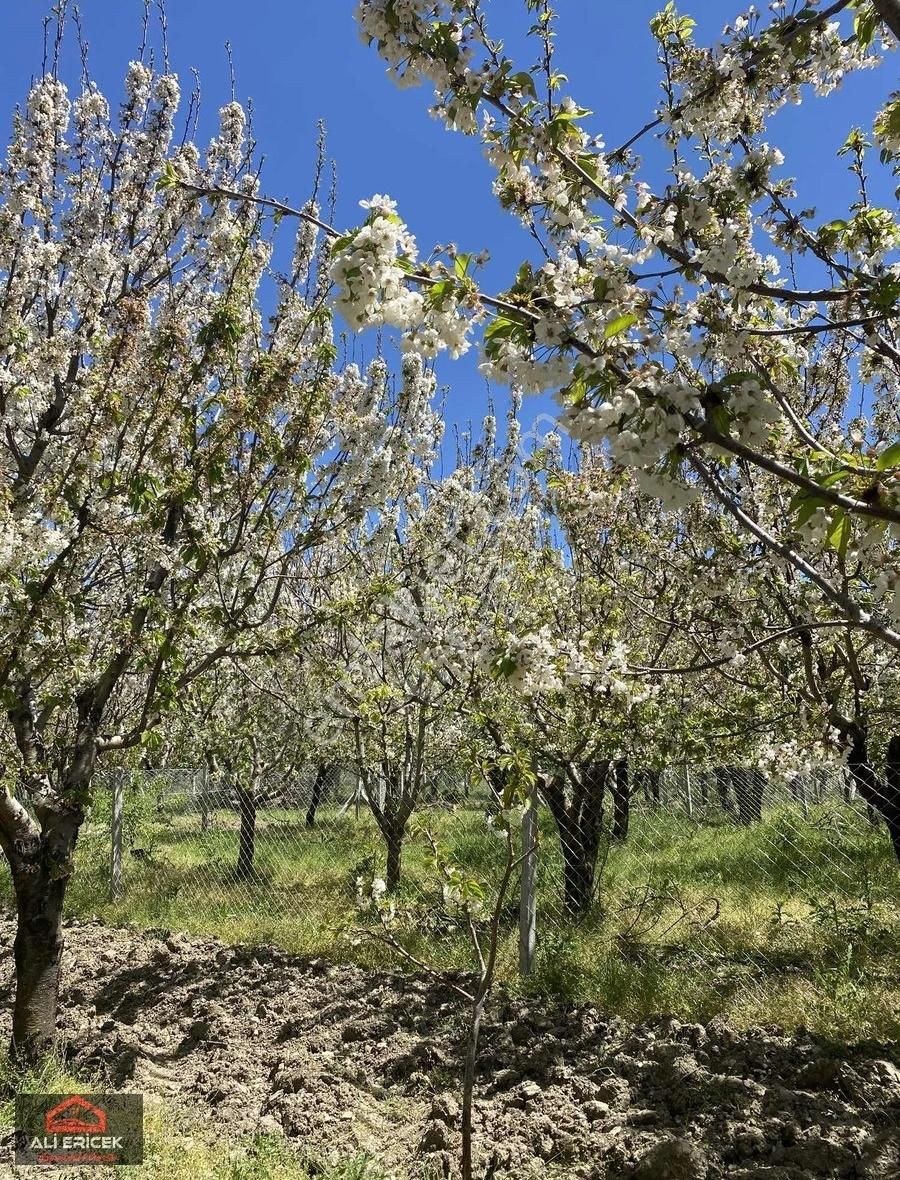 Yakaköy Merkeze Yakın Bölgesinin En Manzaralı Bahçesi - Görsel 19