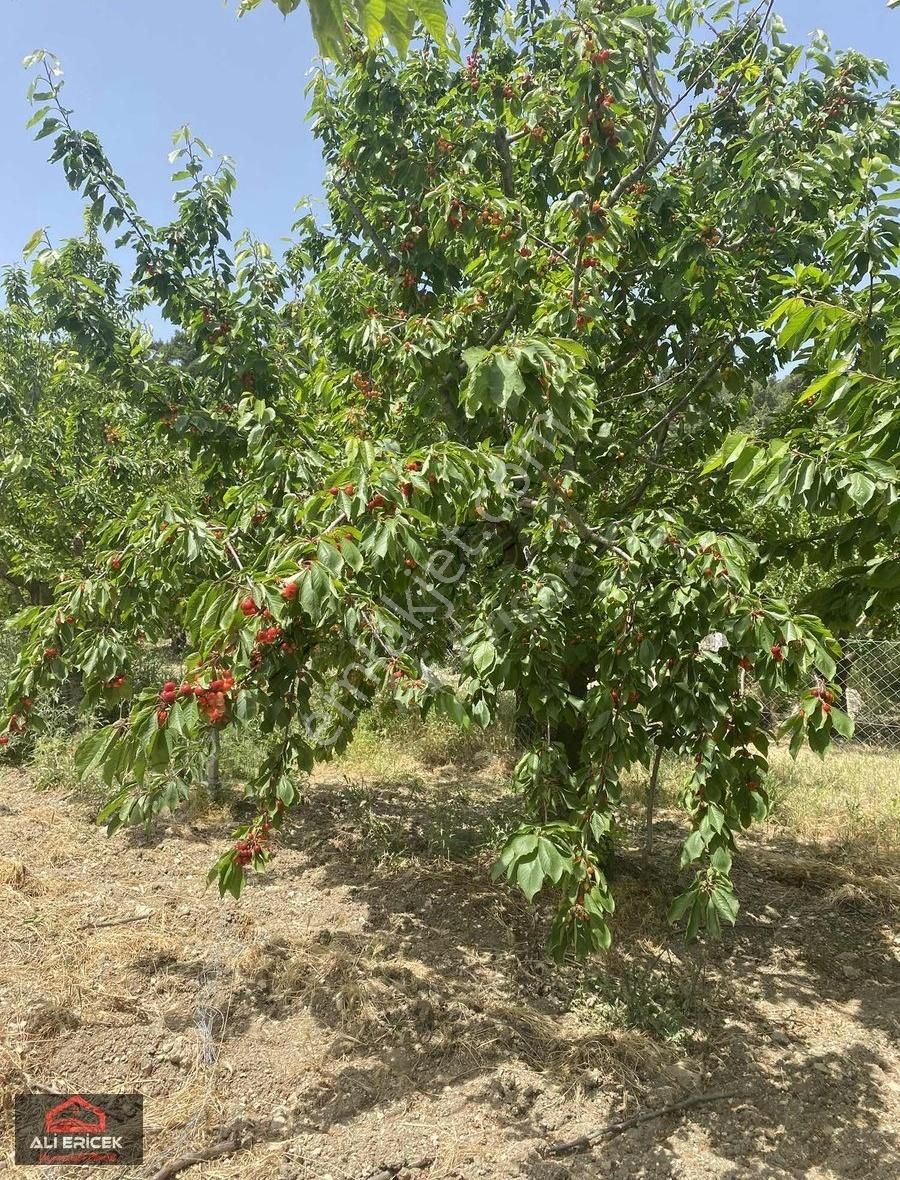 Yakaköy Merkeze Yakın Bölgesinin En Manzaralı Bahçesi