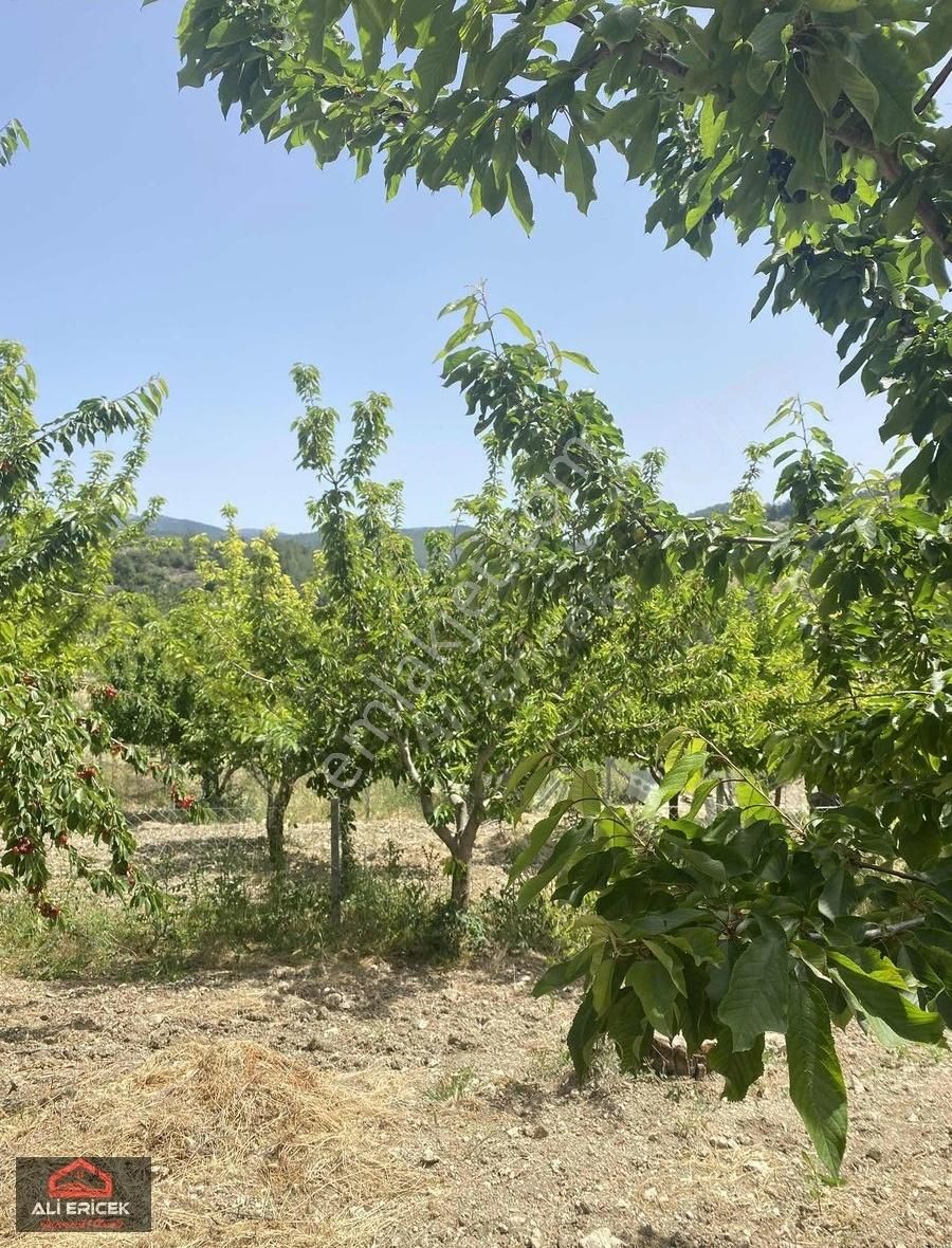 Yakaköy Merkeze Yakın Bölgesinin En Manzaralı Bahçesi - Görsel 7