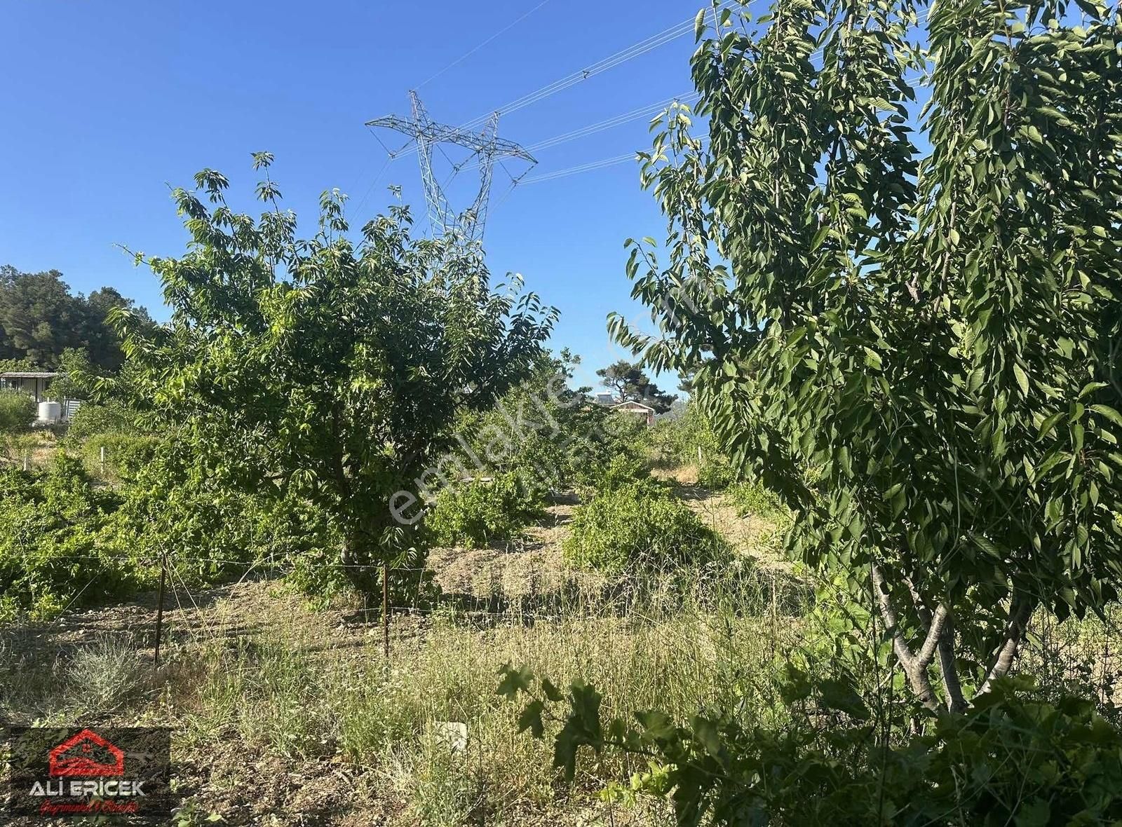 Bornova Yaka Da Kupon Bahçe - Görsel 23