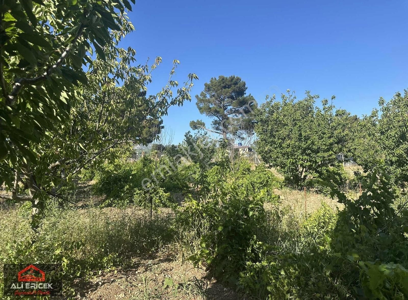 Bornova Yaka Da Kupon Bahçe - Görsel 26