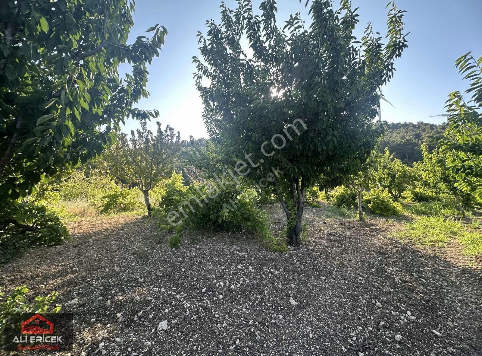 Bornova Yaka Da Kupon Bahçe - Görsel 16